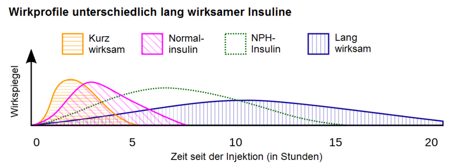 Wirkprofile_Insuline.png  