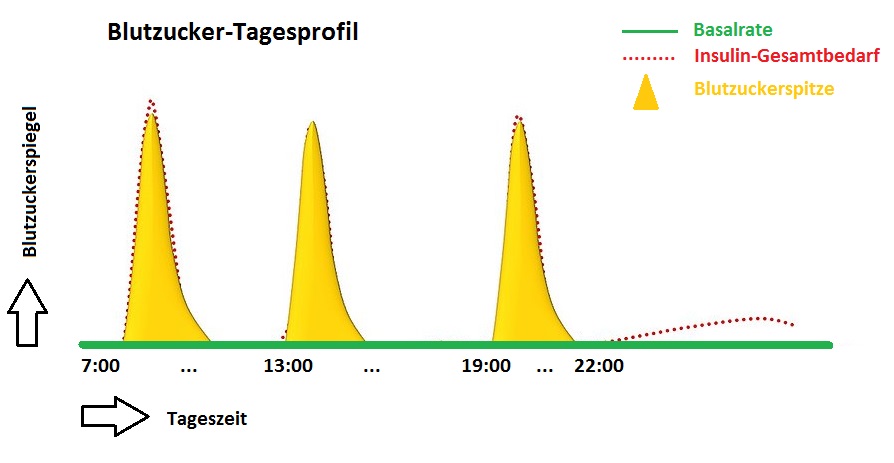 Blutzuckertagesprofil  